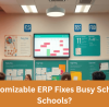 customizable erp